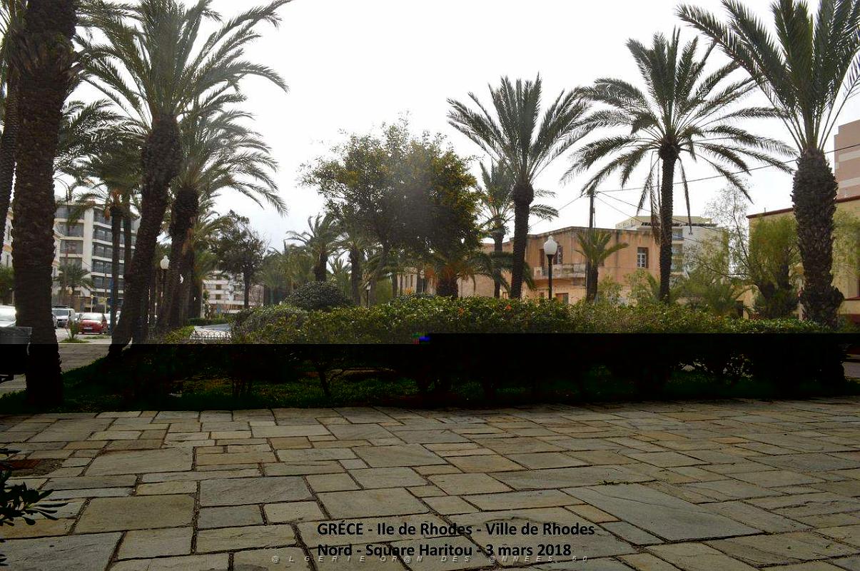 166- Rhodes ville et port d'honneur.JPG